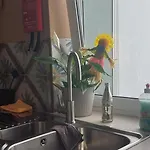 Pescador * Olhão